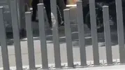 Niğde caddesinde iki kadının kavgasına polis müdahalesi