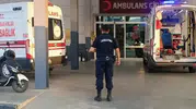 İncir bahçesinde domuz nöbeti acı bitti