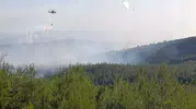 Çanakkale'de ormanlık alanda endişe veren alevler