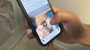 Köpek sahiplendirme yalanıyla binlerce liralık vurgun