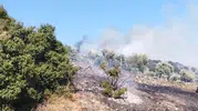 Aydın Çine’de tarım arazisinde yangın paniği