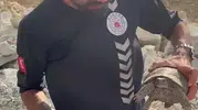 Alevlerin arasından kurtarıldılar Kaş’ta koyun ve kaplumbağa için seferberlik