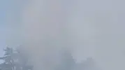 Düzce Yığılca'da orman yangını paniği büyümeden engellendi