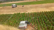 Malatya yolunda otomobil 20 metrelik uçuruma yuvarlandı
