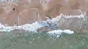 Arnavutköy sahilinde bulunan patlayıcı yüklü İHA imha edildi
