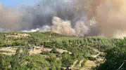 Çine orman yangınında korkulan olmadı