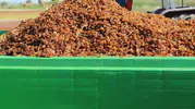 Manisalı üzüm üreticisine plastik kasa desteği