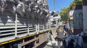 Kömürün arasına gizlemişler TIR'da 1,5 kilo esrar yakalandı