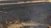 Tarla temizliği yangına dönüştü, Yozgat'ta 1000 dönüm otlak kül oldu