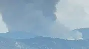 Aydın Kuyucak ormanlarında yangın paniği