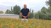 Emekli memur tarlaya döndü Kayseri’de aspir üretimiyle bölgeyi kalkındırıyor