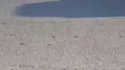Sabah işe giderken kamyona arkadan çarptı, 3’ü çocuk 6 kişi yaralandı