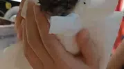 Kartal’da boş binanın çatısında yangın çıktı