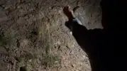 Uludağ yolunda karşılaşılan tilkiye arkadaş grubu et ziyafeti çekti