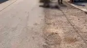 Bursa'da çifte cinayet dehşeti