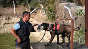 Enkaz altında hayat bulan mucize burunlar
