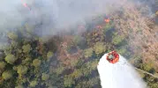 Rüzgar alevleri ormana taşıdı, Bursa'da yangına havadan müdahale var