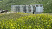 Kars yaylalarına teknolojik arı üssü kuruldu