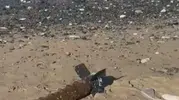 Arnavutköy sahilinde denize girenler patlayıcı buldu