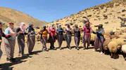 Hakkari yaylalarında zorlu mesai sonrası geleneksel neşe
