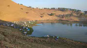 Yörükler 700 Yıllık Geleneği Sandıras Dağı’nın Doruğunda Yaşattı