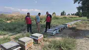 Antakya'nın altın sarısı hasadında kritik denetim