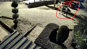 Parkta bebeğiyle gezerken eşinin silahıyla vuruldu, kurtarılamadı