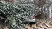 Niğde’de şiddetli rüzgar park halindeki aracı hurdaya çevirdi