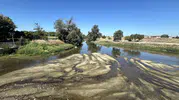 Tunca Nehri kuruyor Edirne’nin tarlaları tehlikede