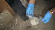 Samsun narkotik ekiplerinden iki ilçede eş zamanlı temizlik operasyonu