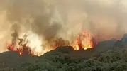 Turgutlu alevlere teslim oldu