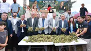 Kahramanmaraş’ın saklı cenneti Kalekaya’da fındık bereketi kutlandı