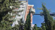 Adıyaman'da ağaçta mahsur kalan yavru kedi kurtarıldı