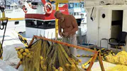 Palamut bereketi kapıda Rumeli Feneri'nde son hazırlıklar tamam