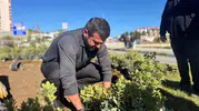 Karabük'te 58 bin ağaç ve çiçek toprakla buluştu 40 bin metrekare yeni yeşil alan