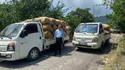 Fındık üreticisine uyarı Acele etmek kazancınızı düşürür