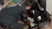 Acılı ailelere siber şantaj yapan şebeke çökertildi