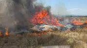 Beyşehir'de iki yangın, orman alevlerden son anda kurtuldu