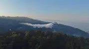 Aydın Kuyucak'ta orman yangını ikinci gününe girdi
