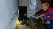 Adıyaman'da bir eve giren yılan ev sahiplerini korkuttu