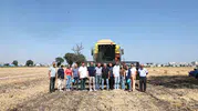 Bursa Nilüferde susuz tarım dönemi başladı