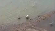 Termometreler 37 dereceyi gösterince soluğu barajda aldılar