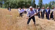 Bayburt’ta tırpanlı hasat mesaisi