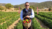 Bilecik’in meşhur Kamber Biberi tarlalara indi