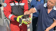 Muğla’da otomobilin motoruna giren kedi için ekipler seferber oldu