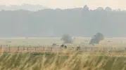 Fransa'da 12 ile turuncu alarm Akşam 18.00'de başlıyor