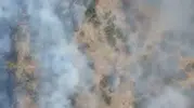 Balıkesir'de orman yangını alarmı