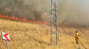 Silvan kırsalında yangın paniği Ekipler seferber oldu