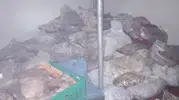 Bodrum'da bir depodan kötü koku yayıldı, 400 kilo bozuk et çıktı