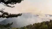 Bolu Göynük ormanlarında alevler yükseliyor